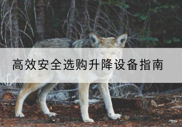 合肥升降货梯厂家推荐-*安全选购升降设备指南