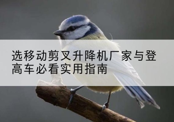 合肥电动升降机厂家-选移动剪叉升降机厂家与登高车必看实用指南